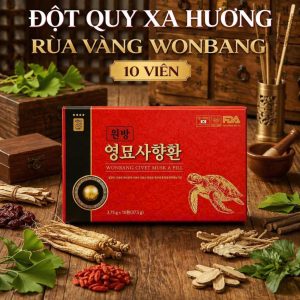 ĐỘT QUỴ RÙA VÀNG XẠ HƯƠNG 10 VIÊN